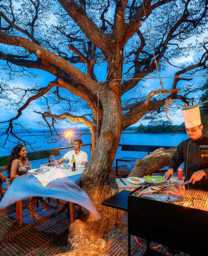 Unique Tree House Dining Experience | Hotel Sudu Araliya
