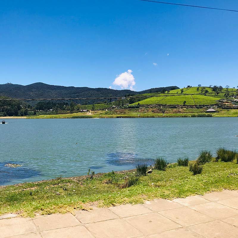 Exploring-Nuwara-Eliya-with-Kids-A-Simple-Family