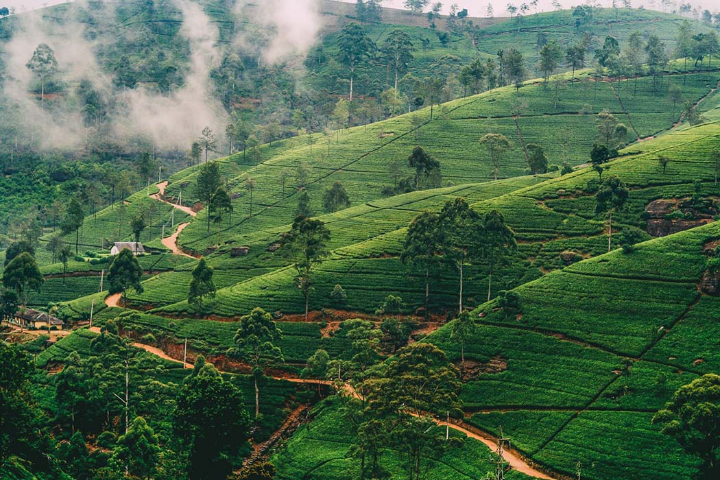 Why Nuwara Eliya is Called ‘Little England’