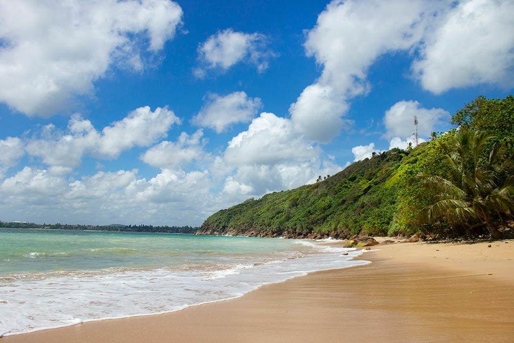 Eco-Friendly Adventures: Sea Turtle Watching in Unawatuna