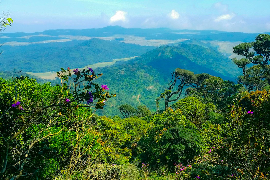 Most Instagrammable Spots in Nuwara Eliya: From Waterfalls to Vintage Hotels