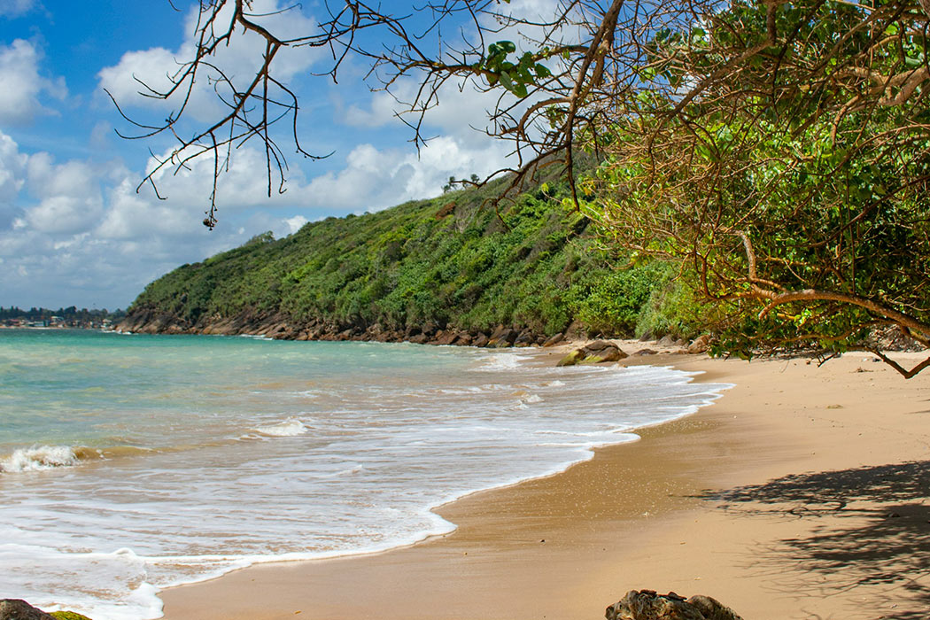 Experience the Best of Sri Lanka's Beaches
