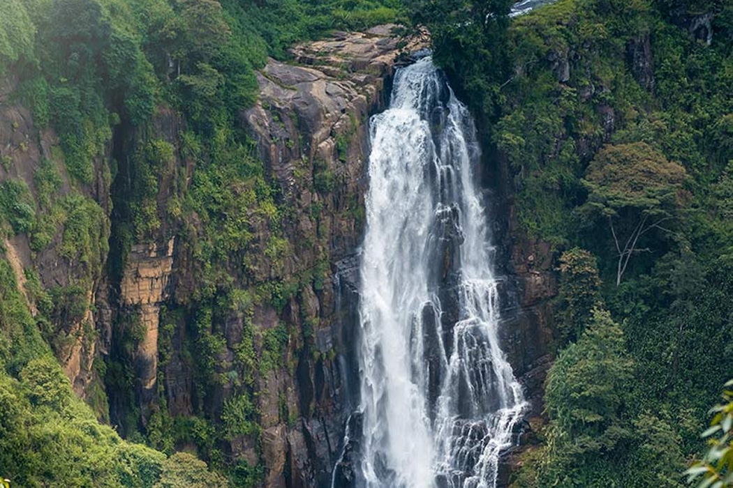 Devon Falls: A Scenic Waterfall Adventure in Nuwara Eliya